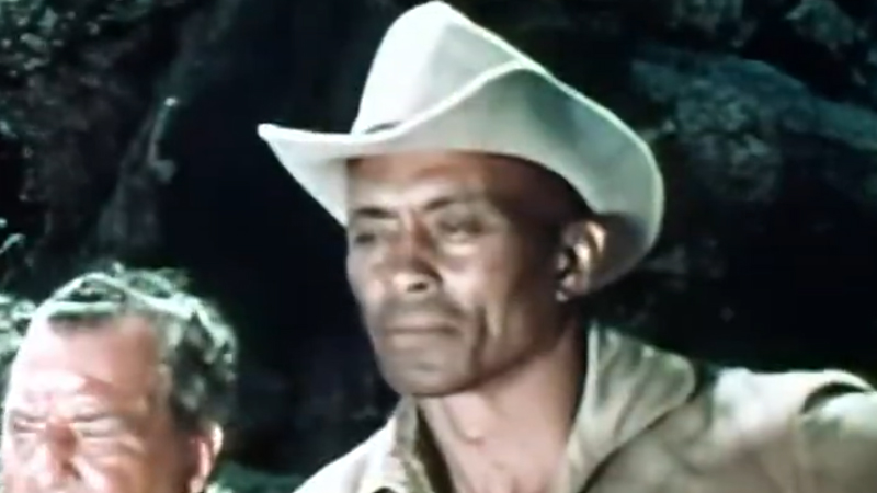 TheGatlingGun-1971.jpg