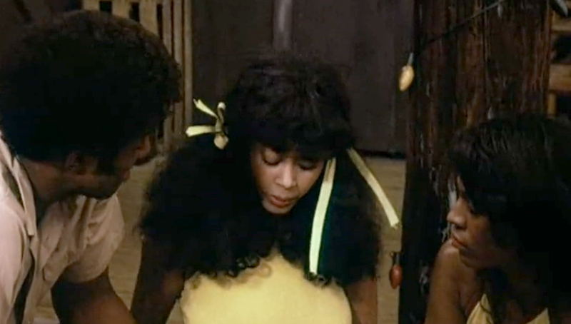 TheGreatAmericanGirlRobbery-1979.jpg
