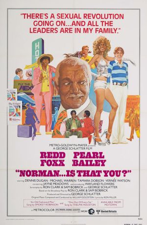NormanIsThatYou-1976-poster.jpg