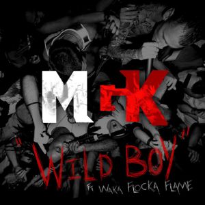MGKfeatWakaFlockaFlameWildBoy-2011-cover.jpg
