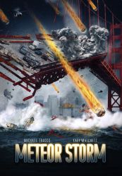 MeteorStorm-2010-poster.jpg