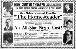 TheHomesteader-1919.jpg