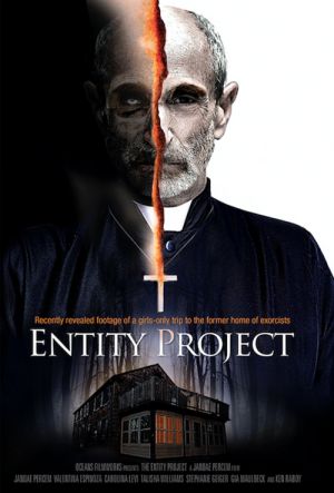 EntityProject-2019-poster.jpg