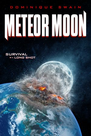 MeteorMoon-2020-poster.jpg