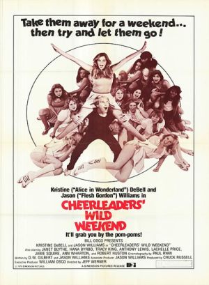 TheGreatAmericanGirlRobbery-1979-poster.jpg